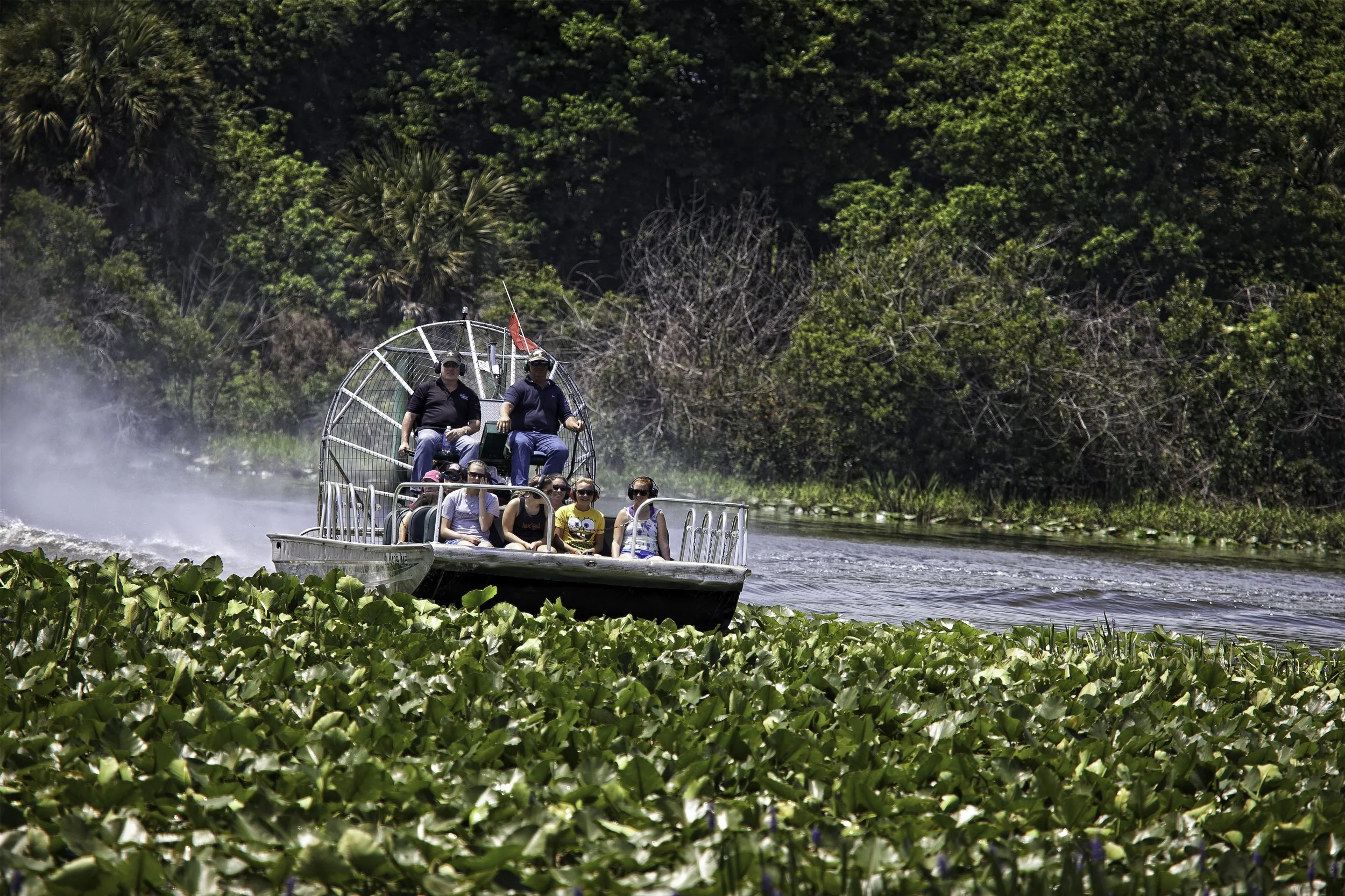 Swamp Buggy