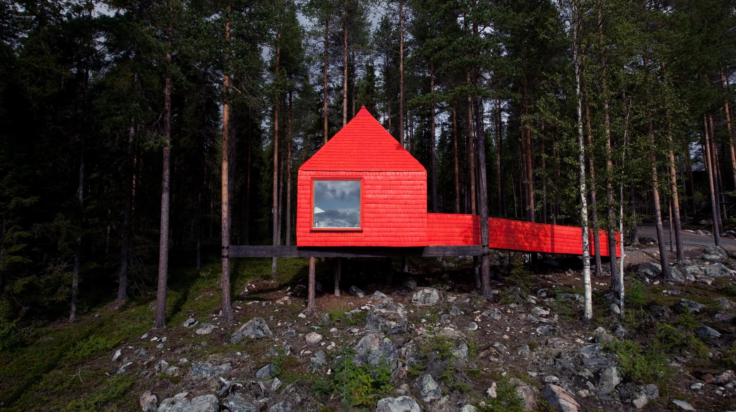 Blue Cone at Treehouse Hotel