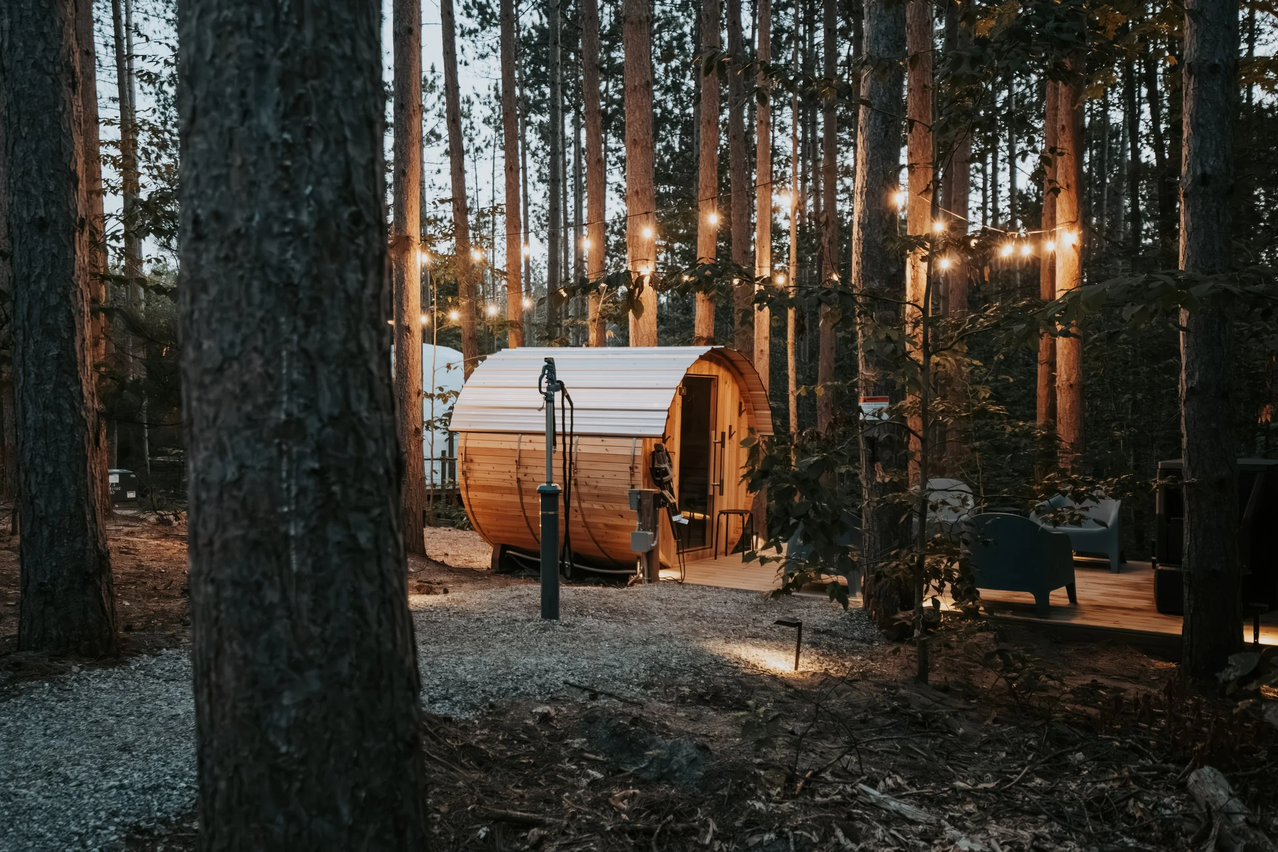 Sauna in the forest