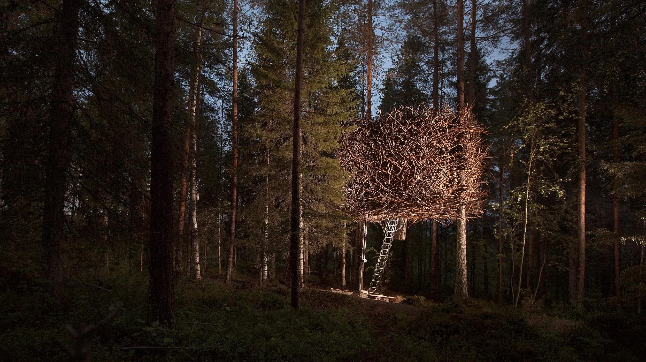 Birds Nest at Treehouse Hotel