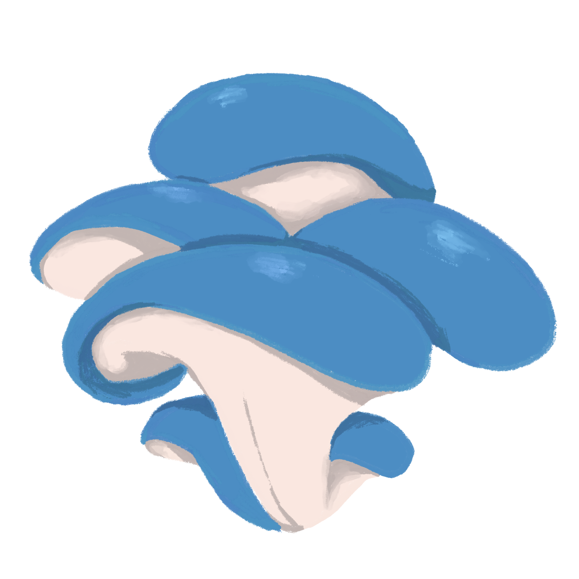 Mushrooms