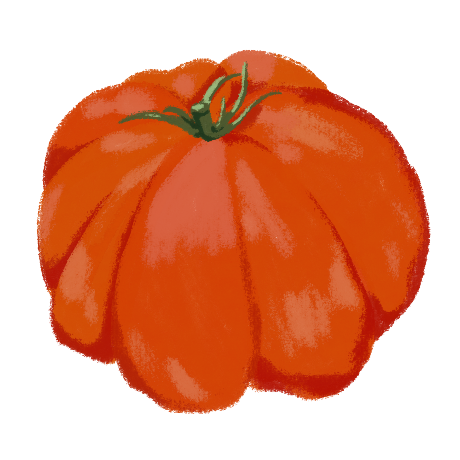 Illustration of Beefsteak Tomato