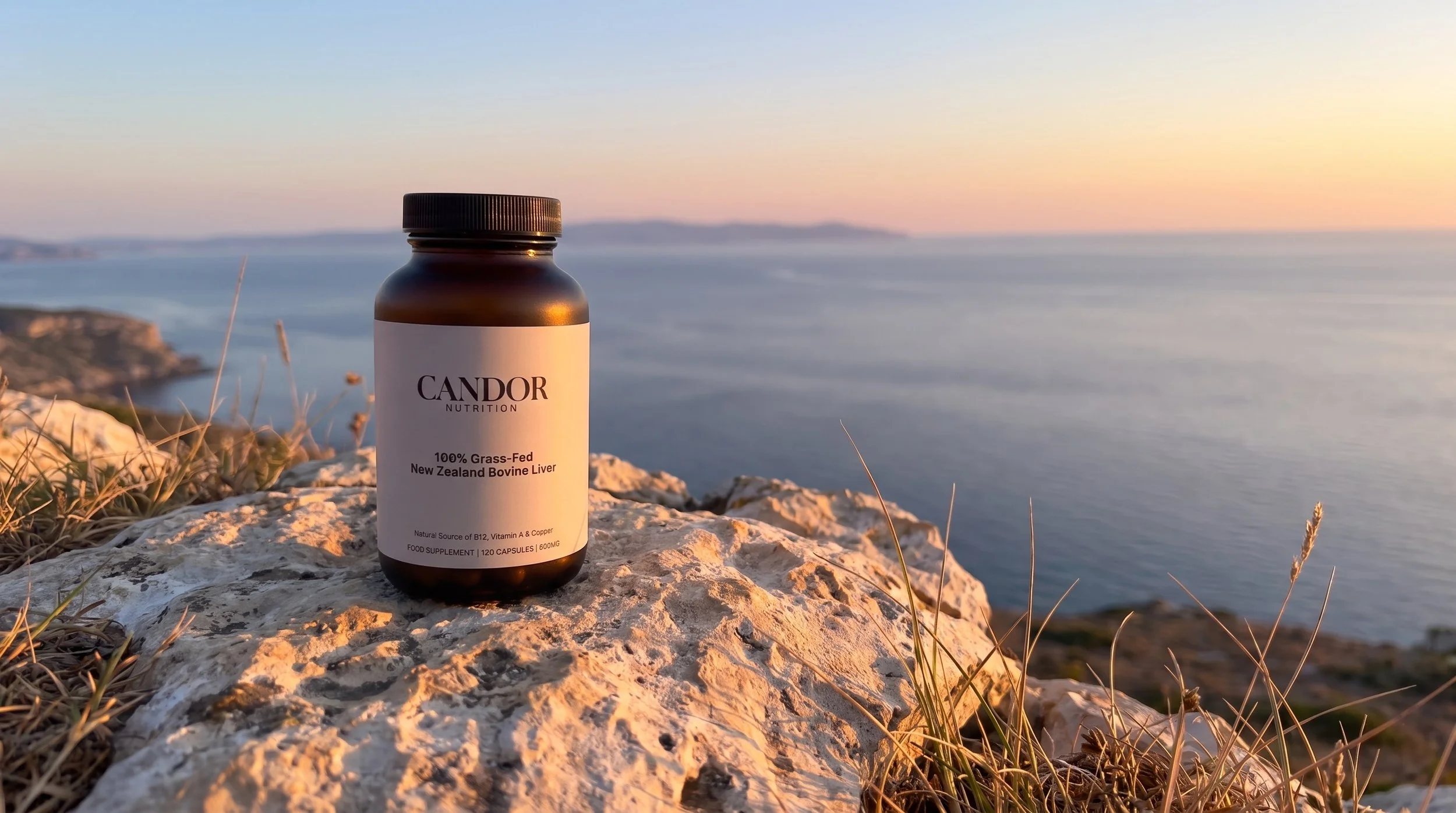 Candor Nutrition jar on sunlit stone beside the sea