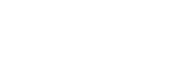 Special Olympics New York logo