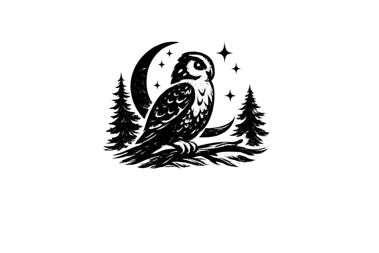 Owl illustration