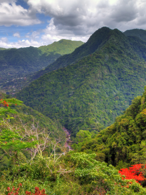 El Yunque