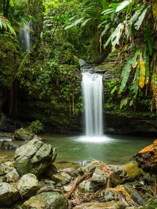 El Yunque