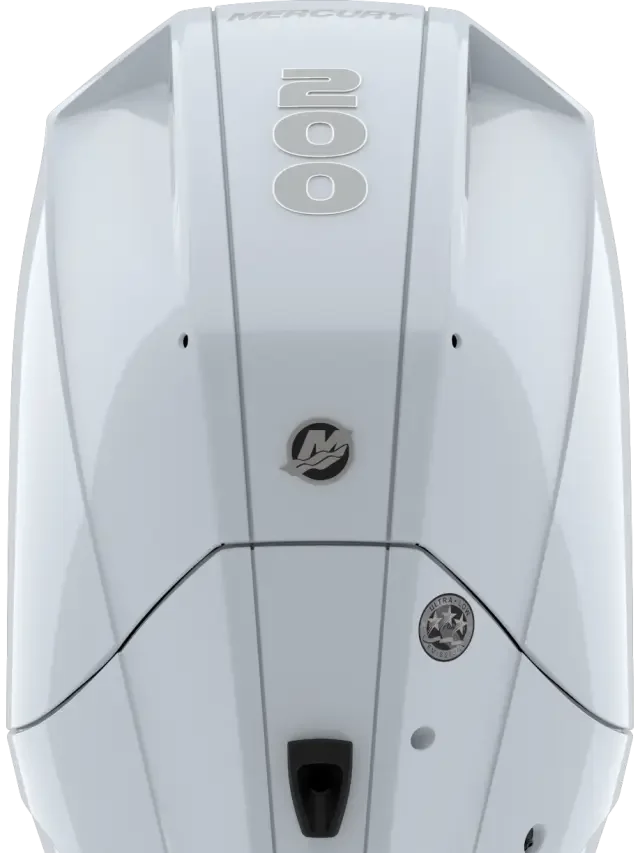 Twin Mercury CMS 250 V8