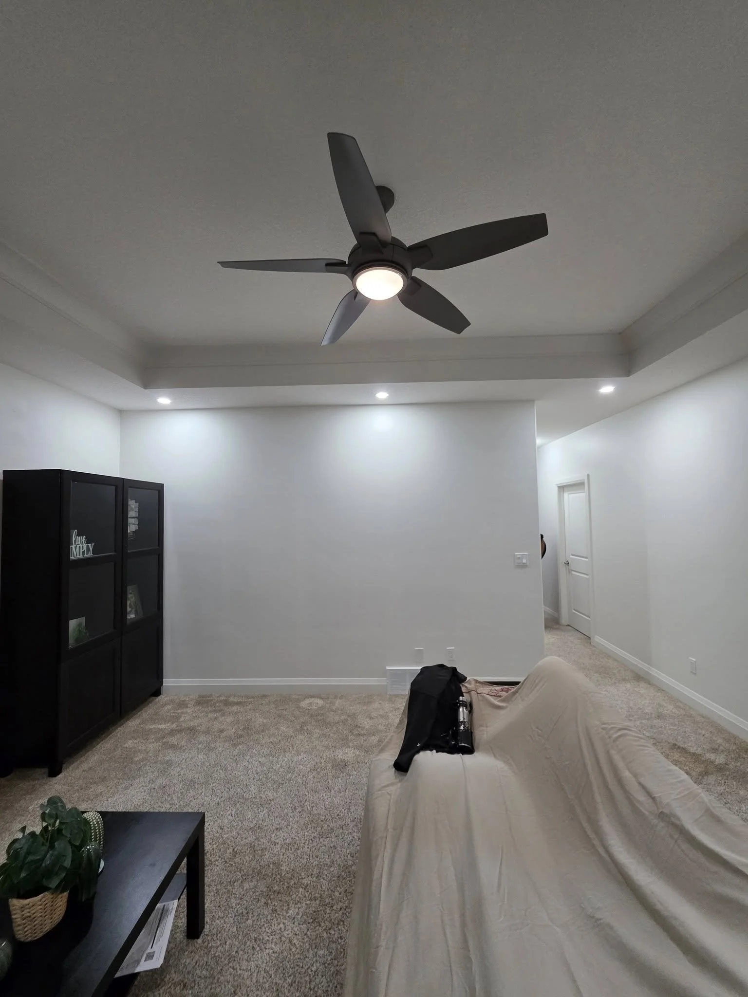 Basement recessed lighting Raylum