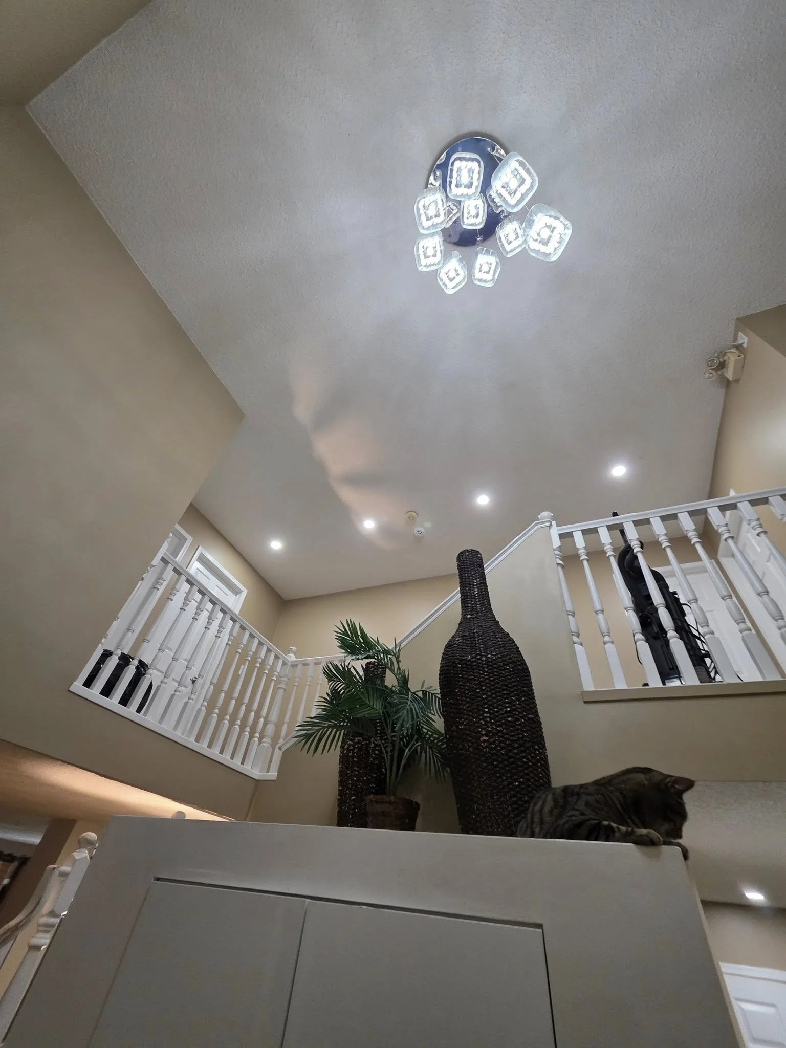 Raylum Lighting real install Edmonton