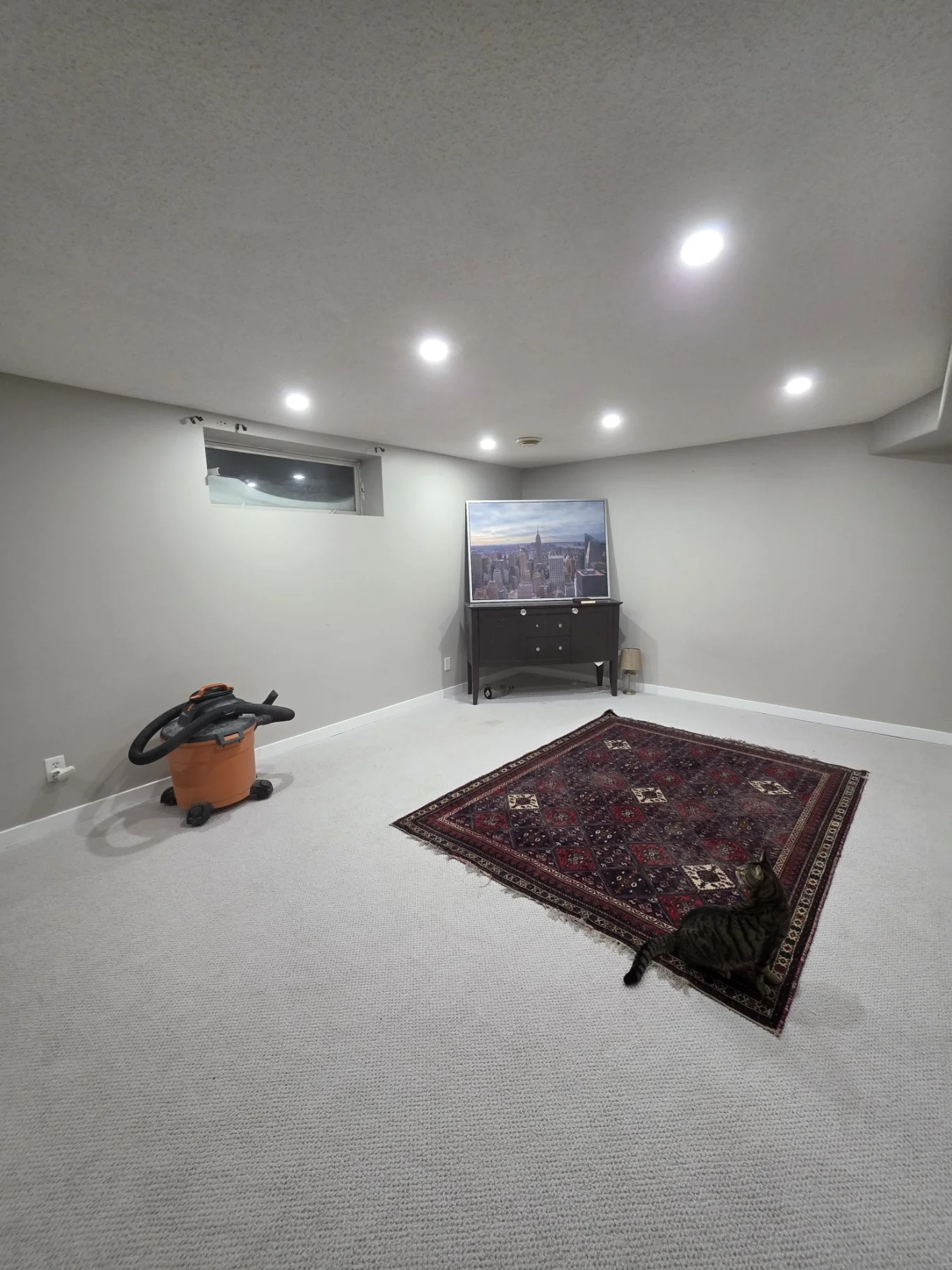 Edmonton basement recessed lighting real