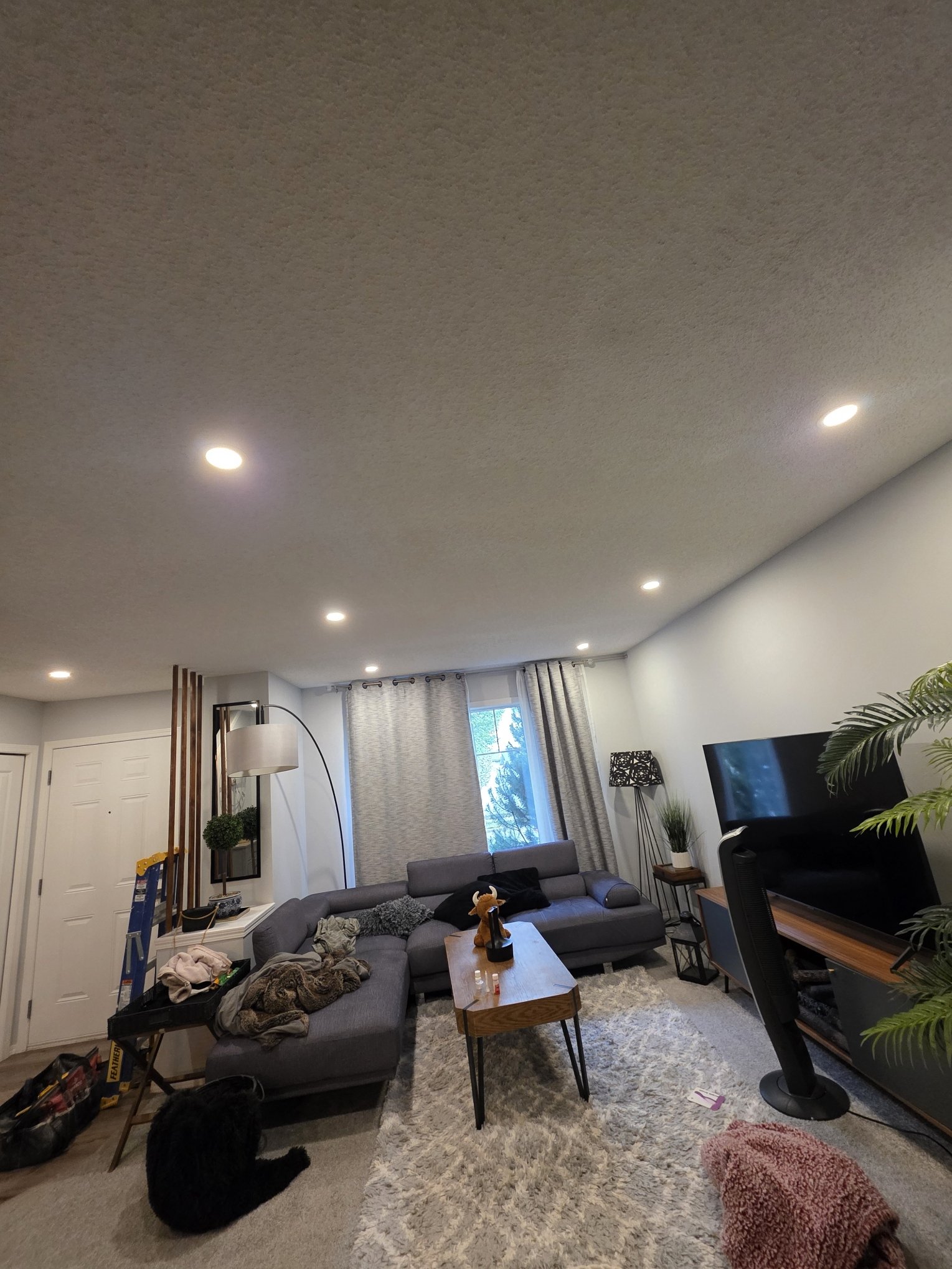 Raylum Lighting living room install