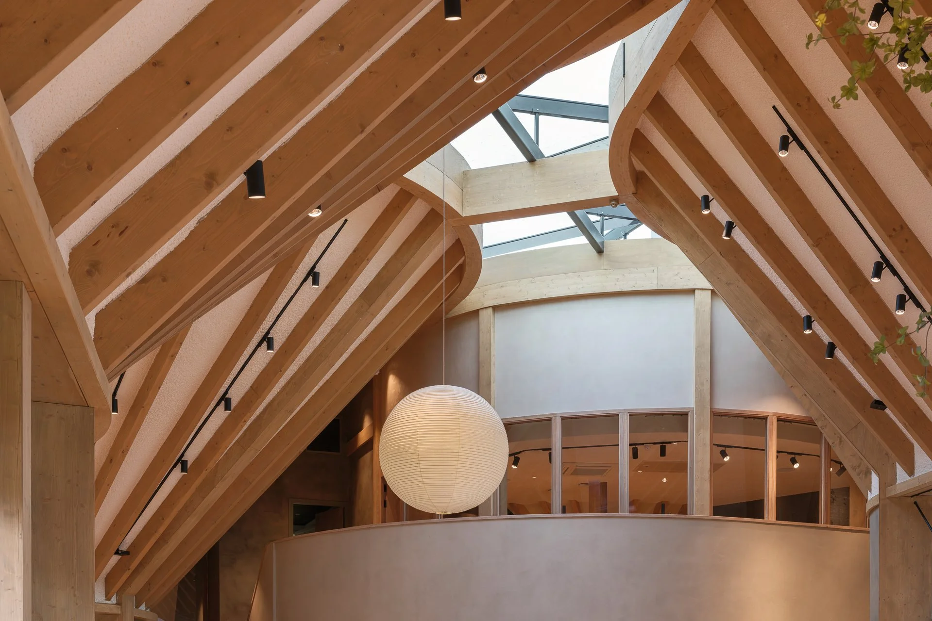 Loetje Hospitality Lighting Project