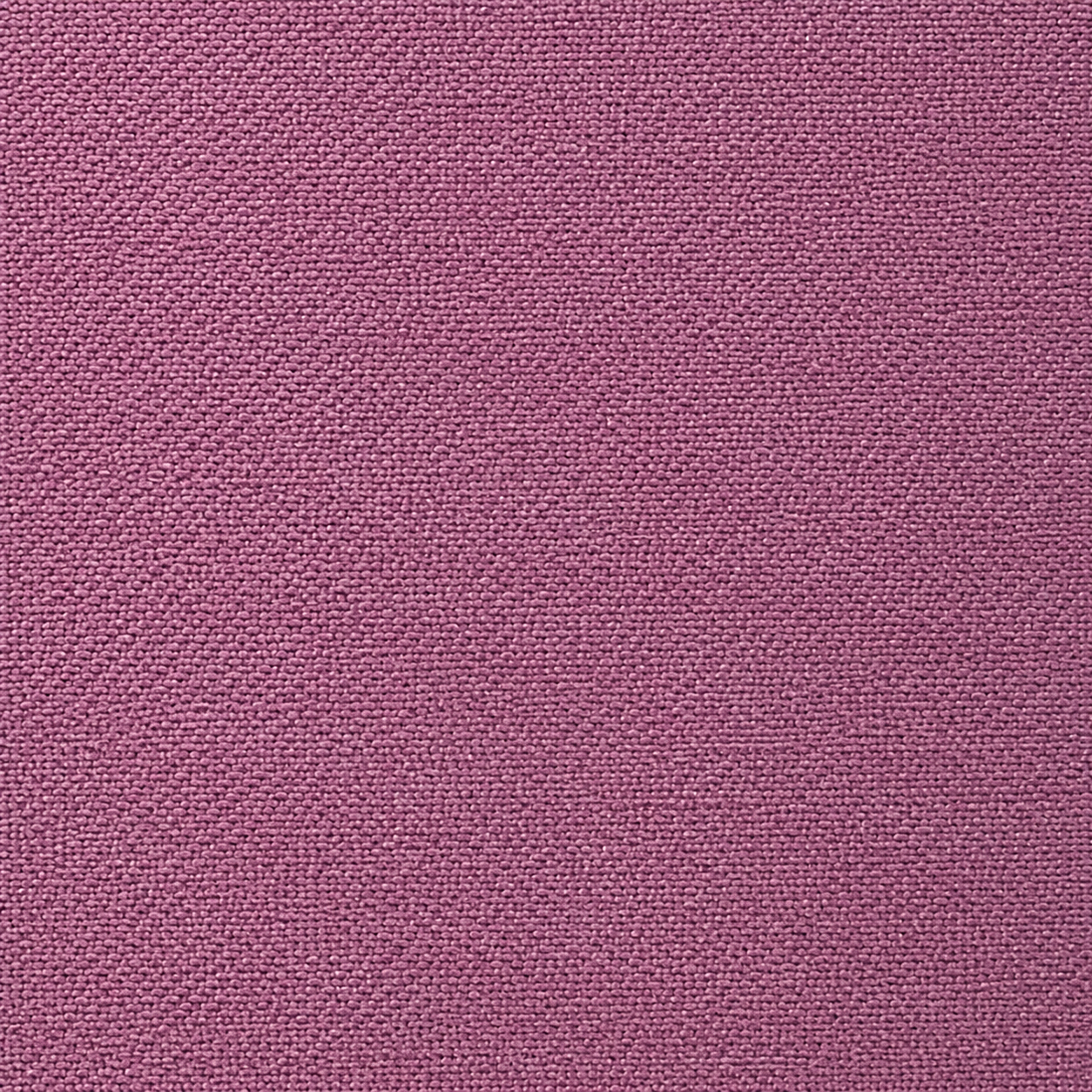 LUSH Classic Violet AP123