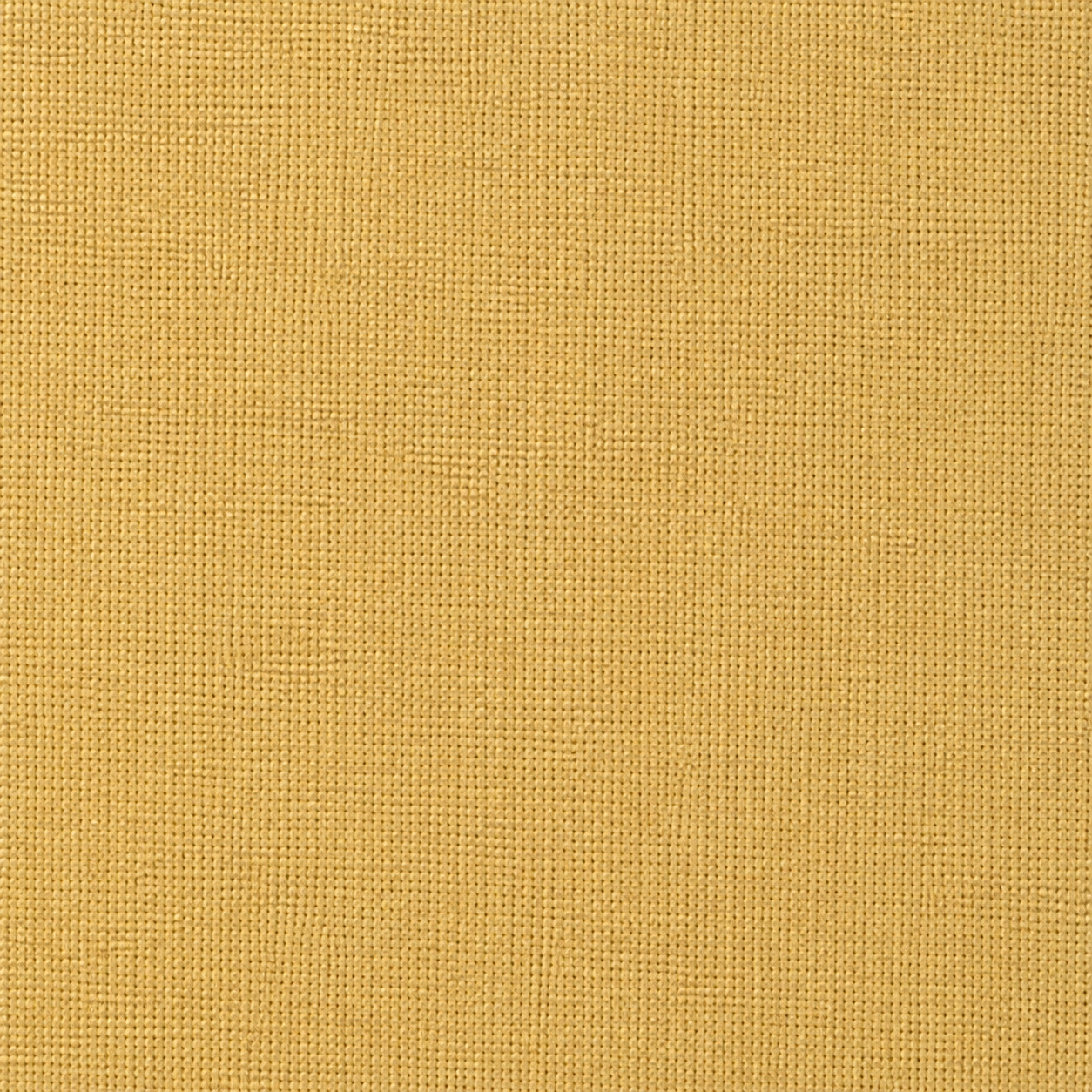LUSH Classic Mustard AP114