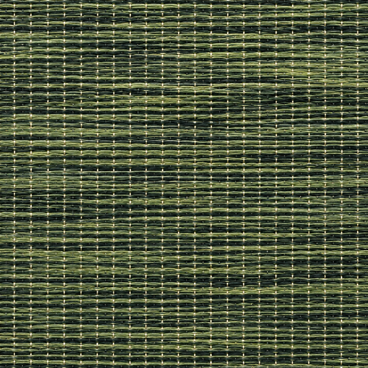 LOOM Classic Rainforest W540