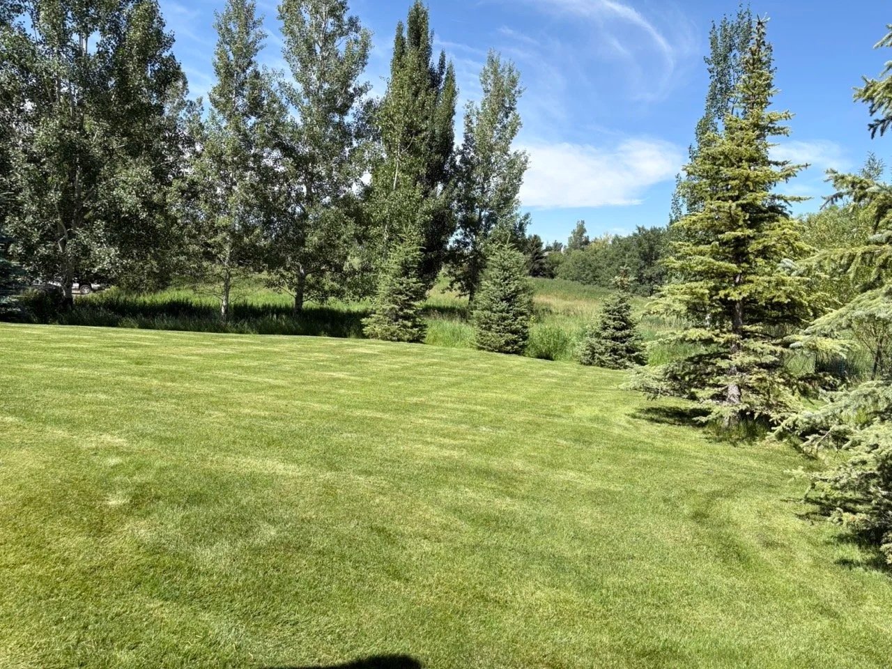 Lawn care project 6