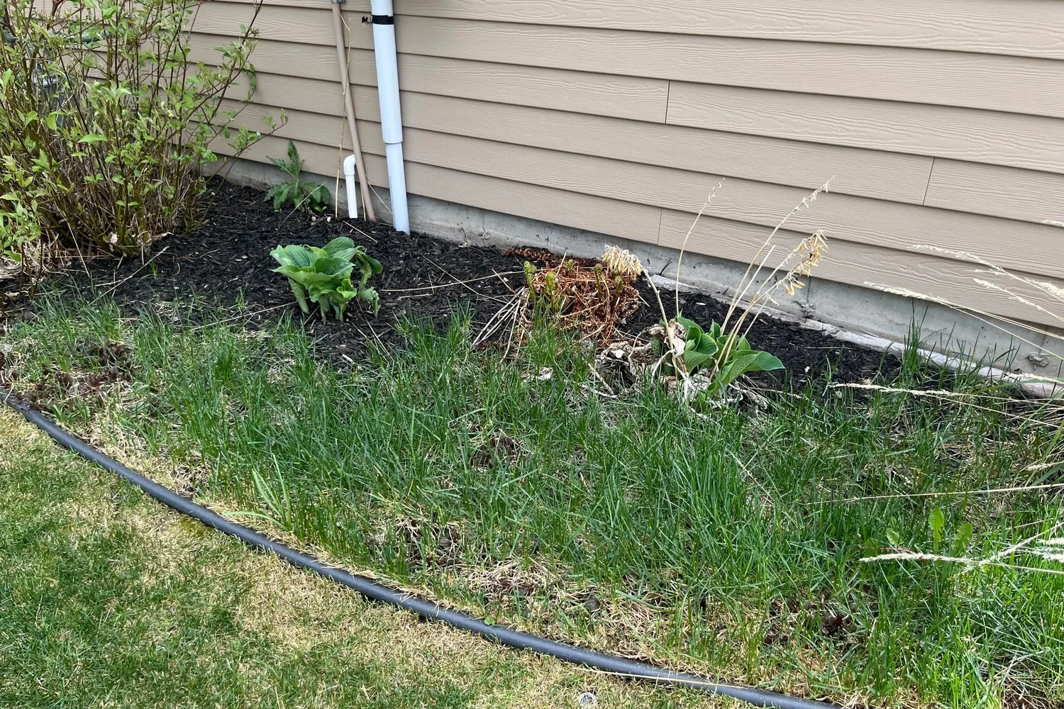 Seasonal property care before