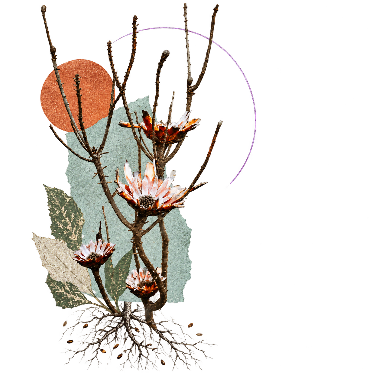 Botanical collage of dried flowers, seeds, roots, and layered paper