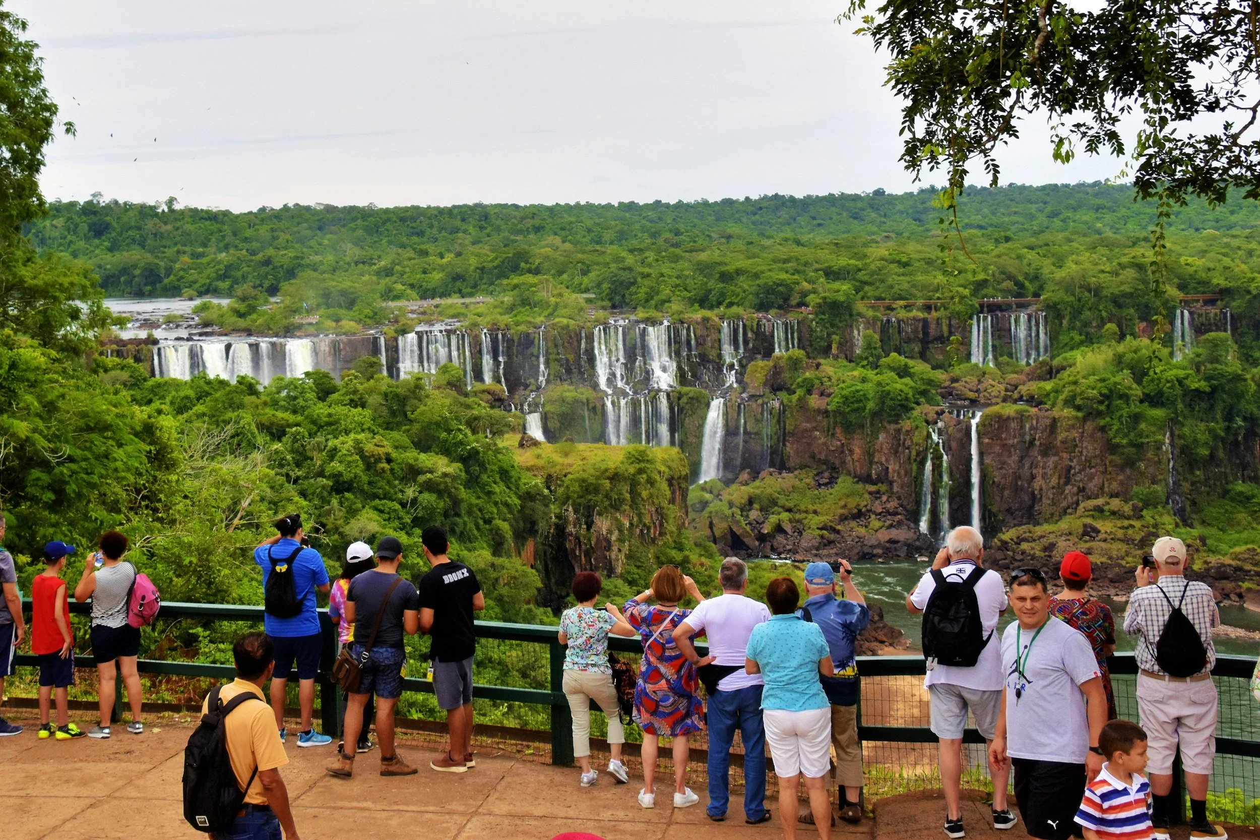 The Tren Ecológico de la Selva eco-train in Iguazú National Park, Argentina