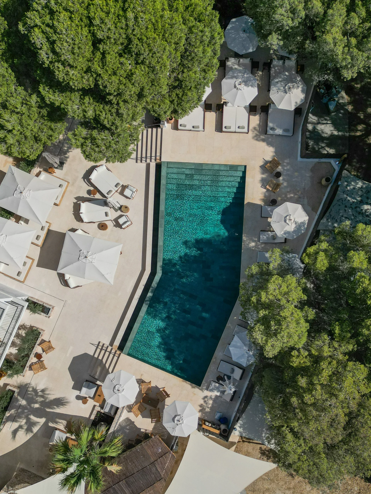 Outdoor pool at Teranka hotel framed by pine trees, Formentera, Spain