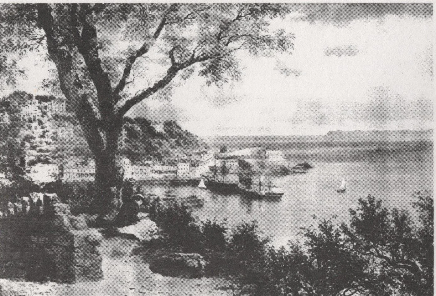 A Victorian view of Torquay Harbour seen from Waldon Hill, framed by a large tree, with sailing vessels in the bay