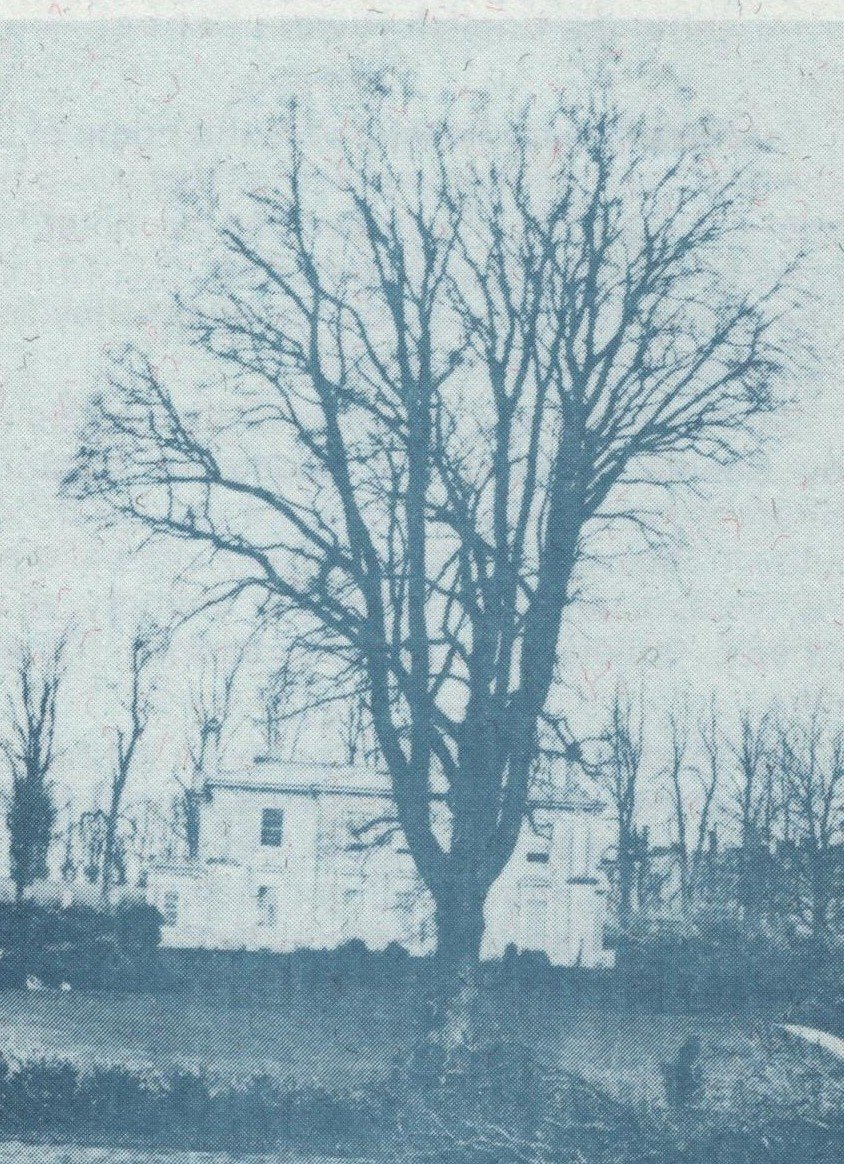 Ehrenburg House, Chestnut Avenue, Torquay, later Rosetor