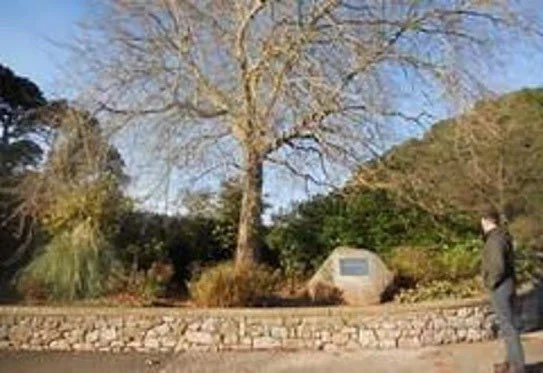 The restored Hollicombe Scented Garden with its granite memorial marker