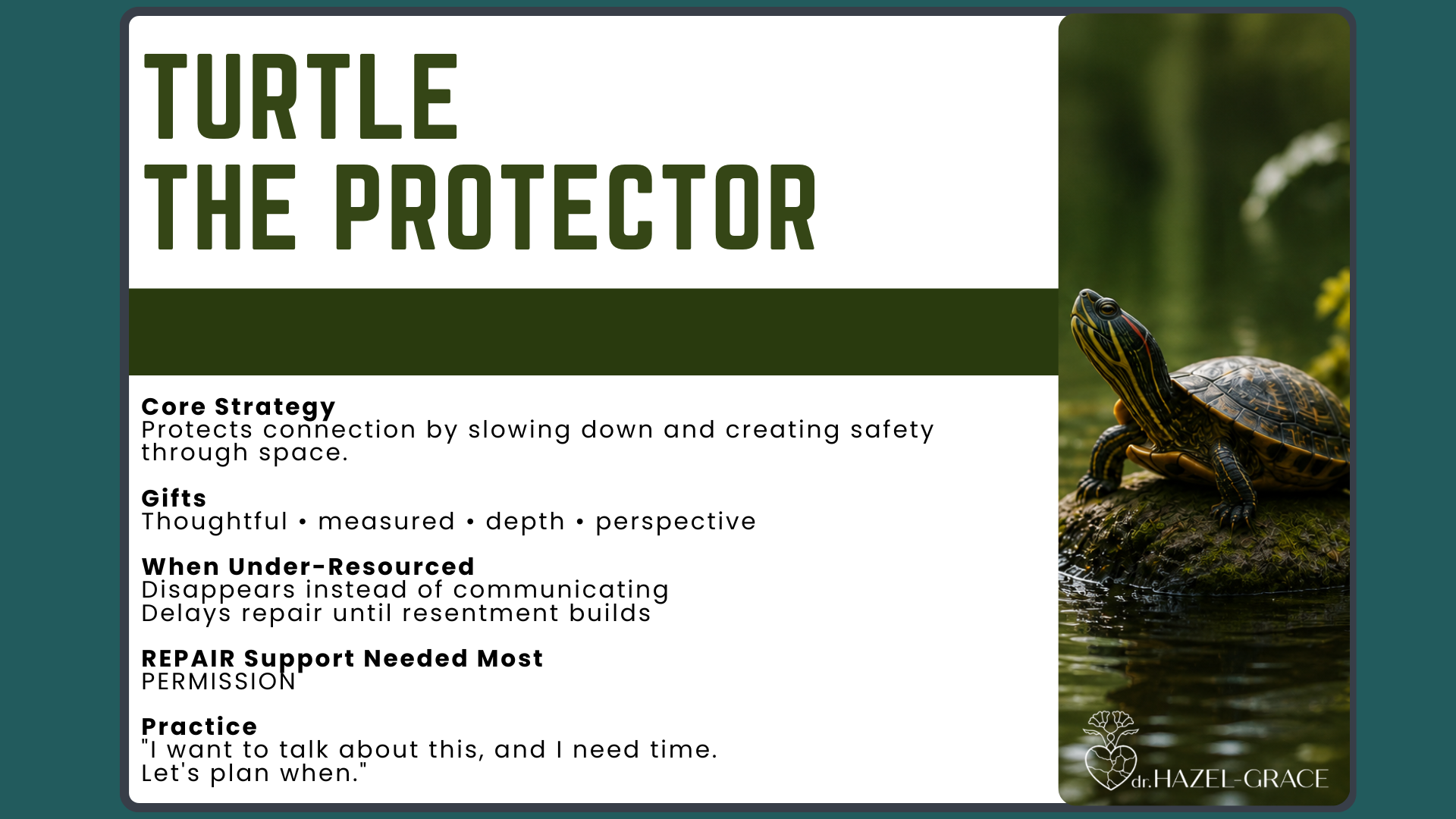 The Turtle archetype