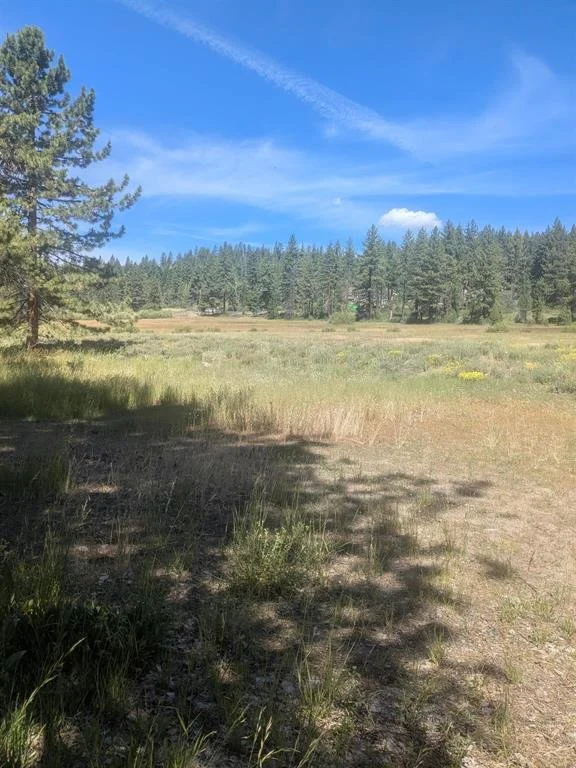 Open meadow and greenbelt behind Lake Forest Glen