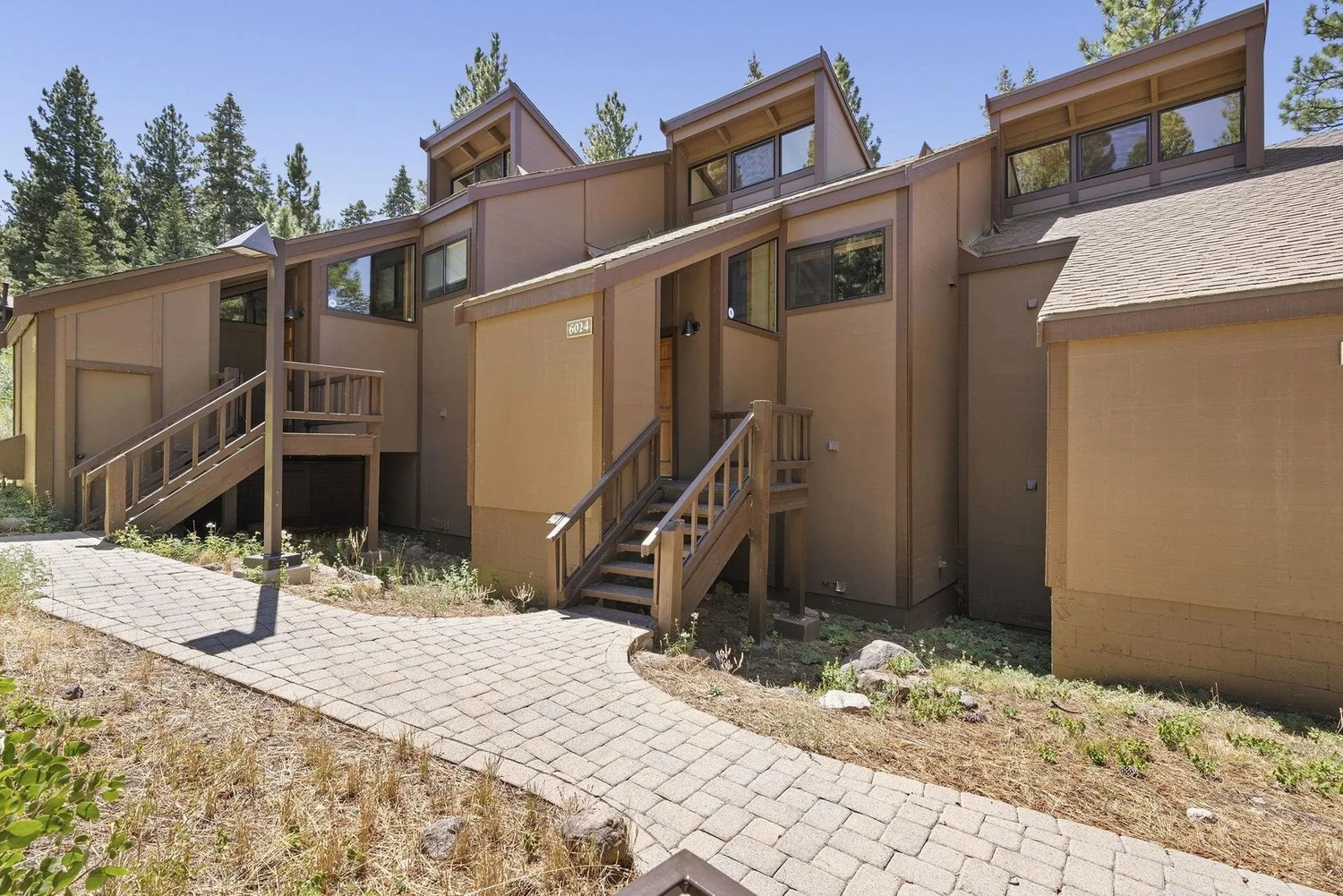 Exterior among the pines