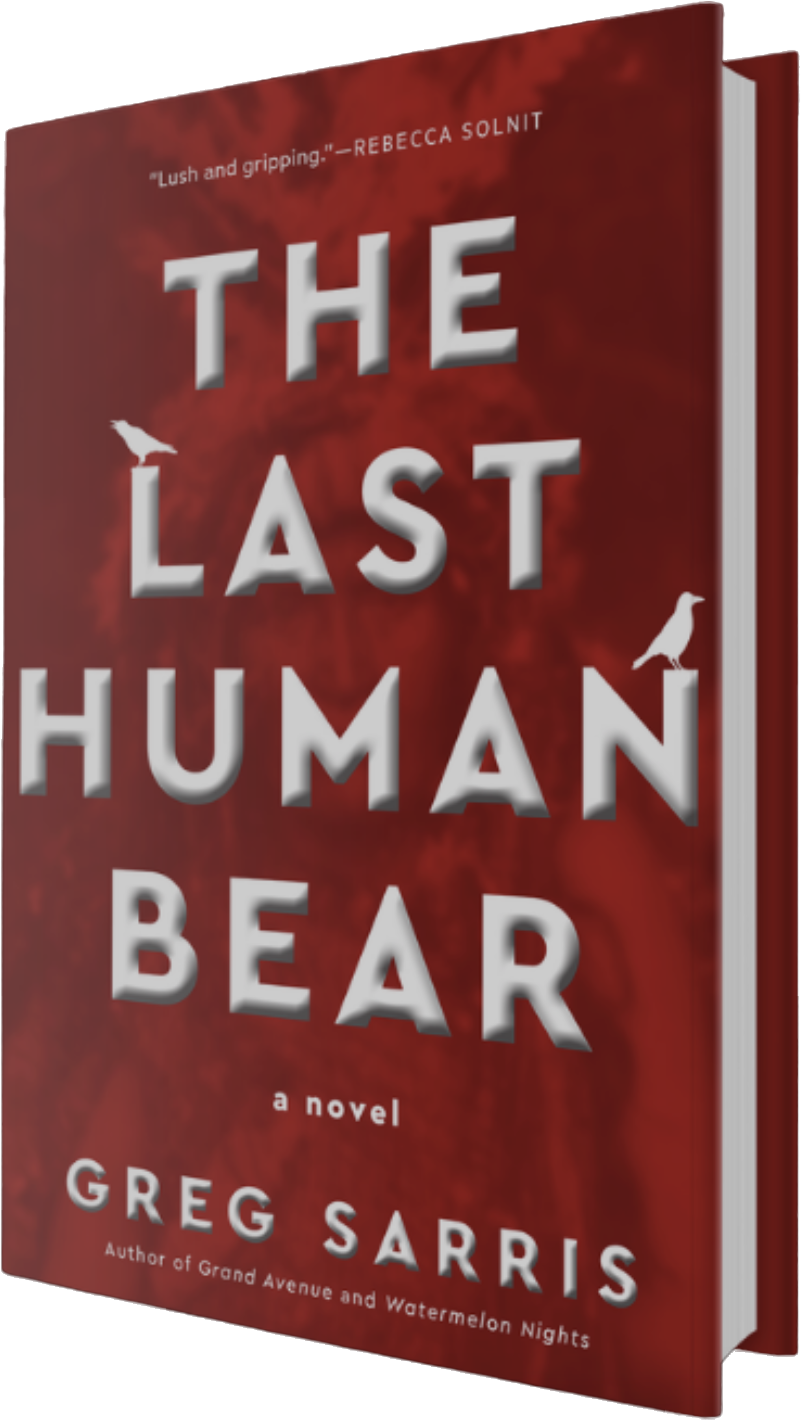 The Last Human Bear book cover