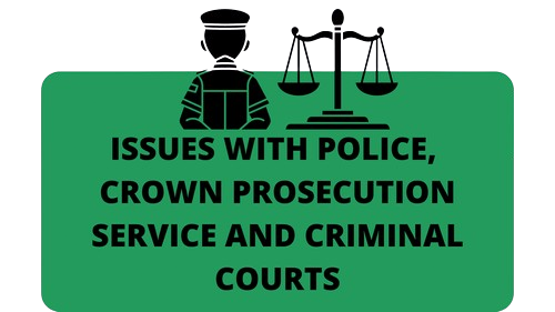 Police / CPS / Criminal Courts