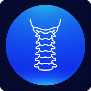 Neck injury icon