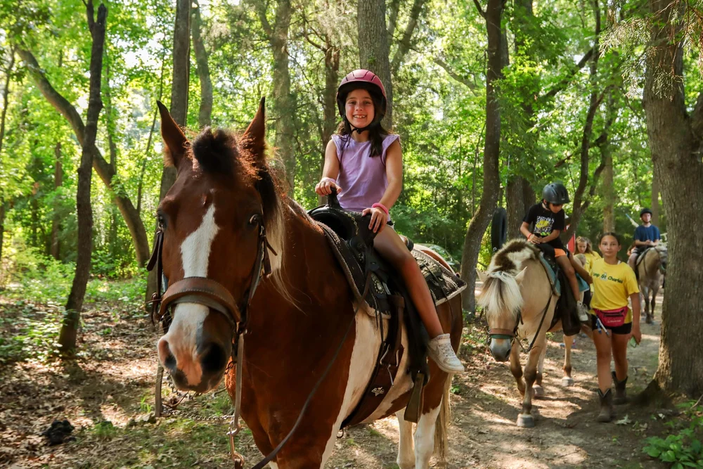 Girl riding a horse on a forest trail
