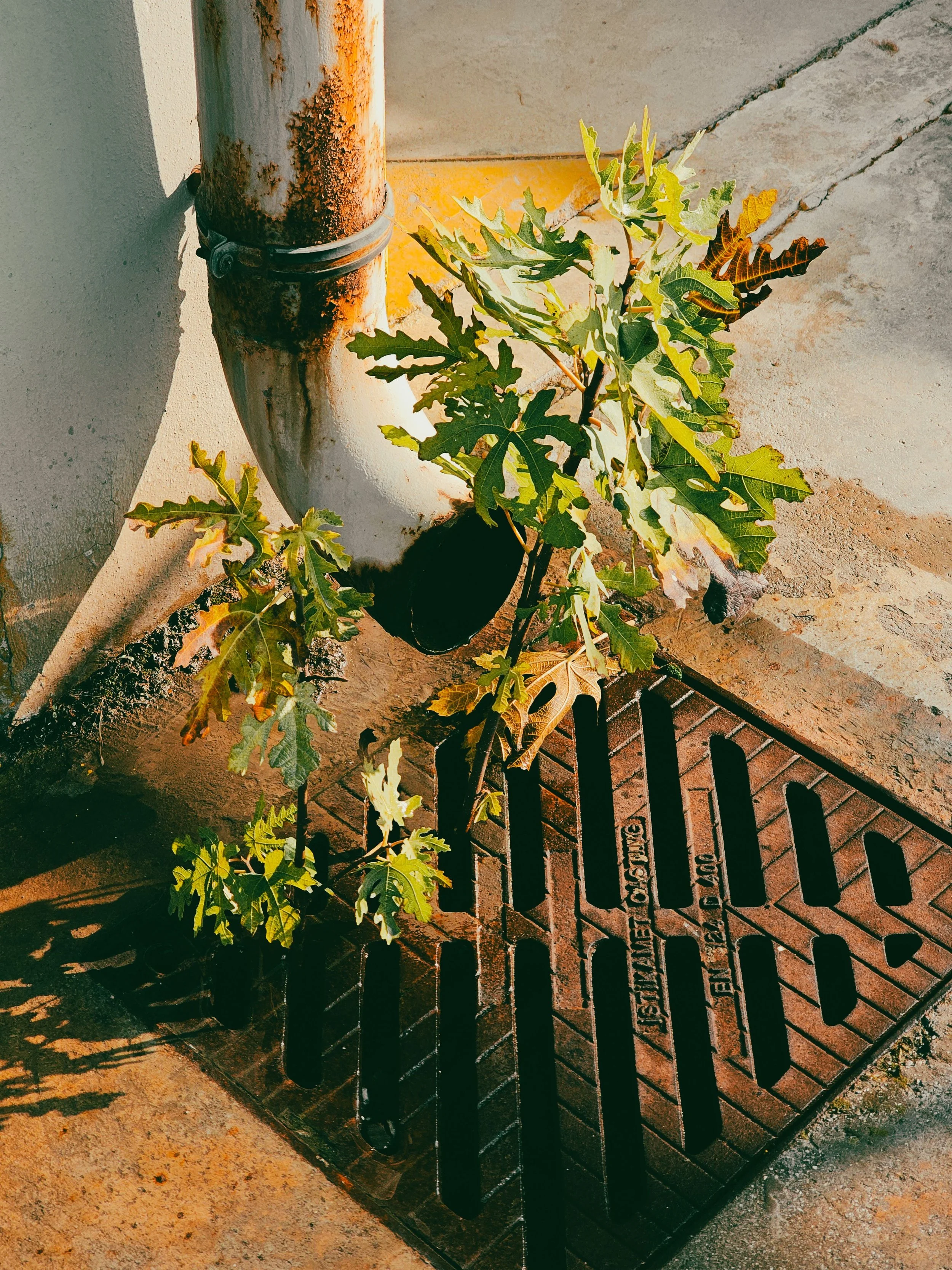 Stormwater management