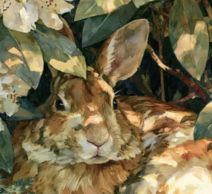 Eastern cottontail face in Rabbit in the Rhododendron