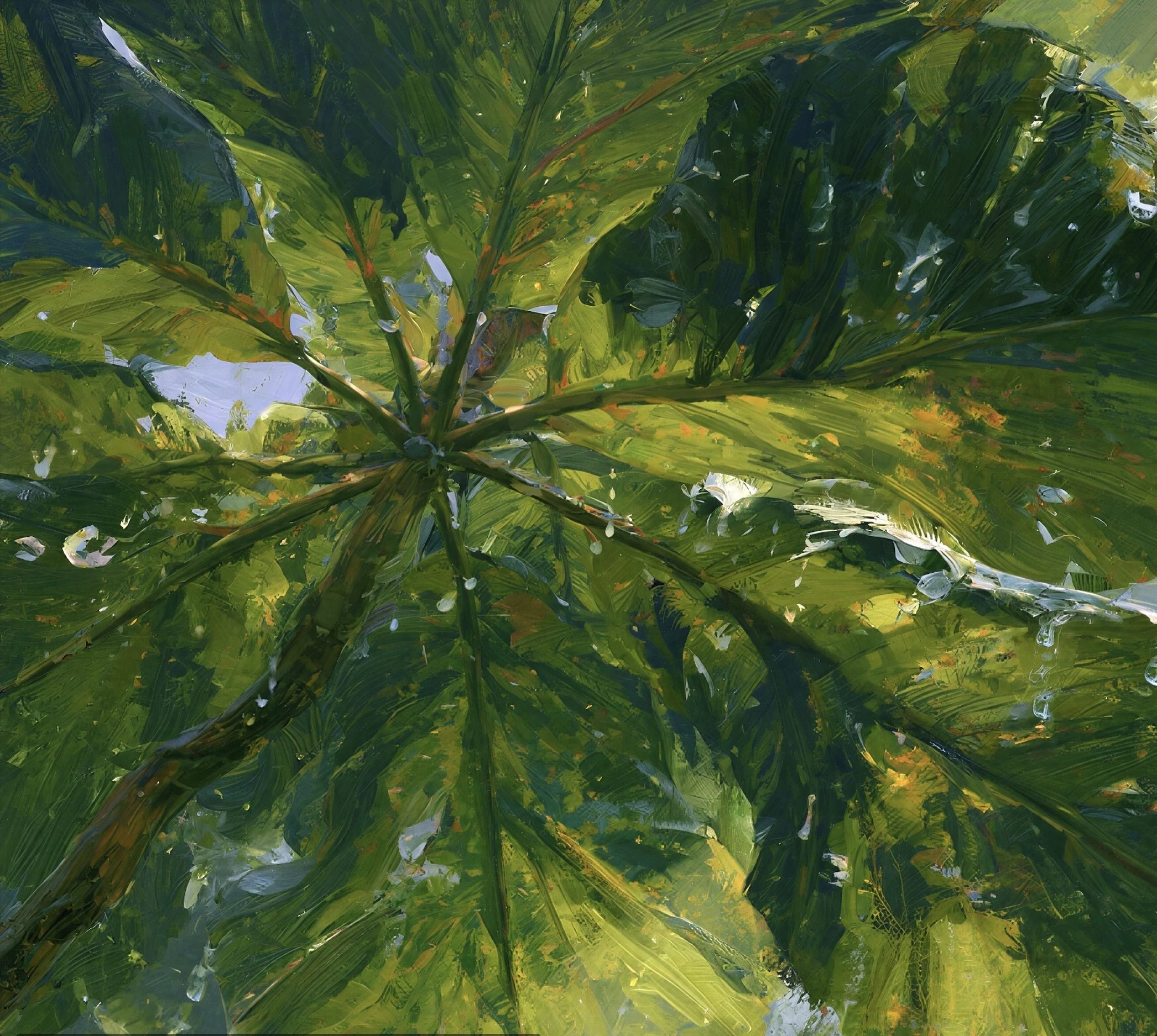 Close detail of Umbrella Magnolia leaves and rain light in green Appalachian understory