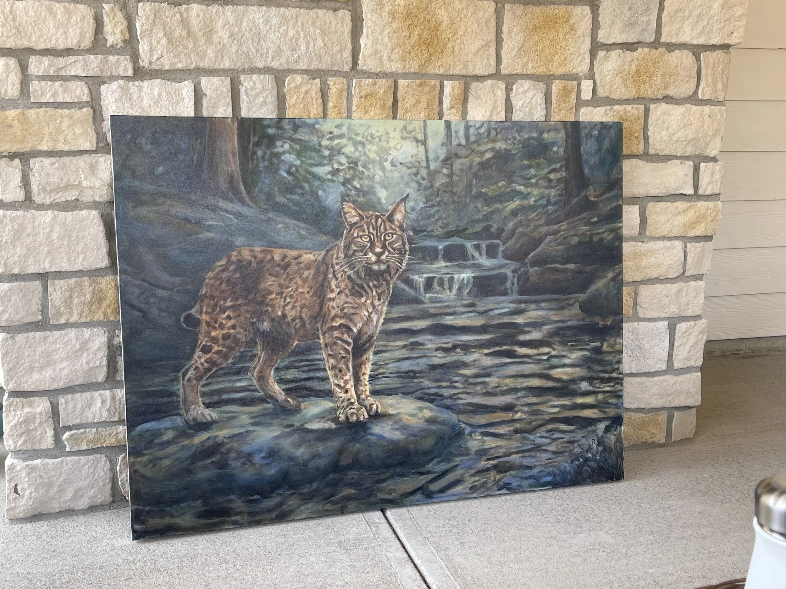 Large 48 by 36 inch bobcat oil painting from Rachel Stepek's Seen/Unseen series, leaning against a stone wall before framing.