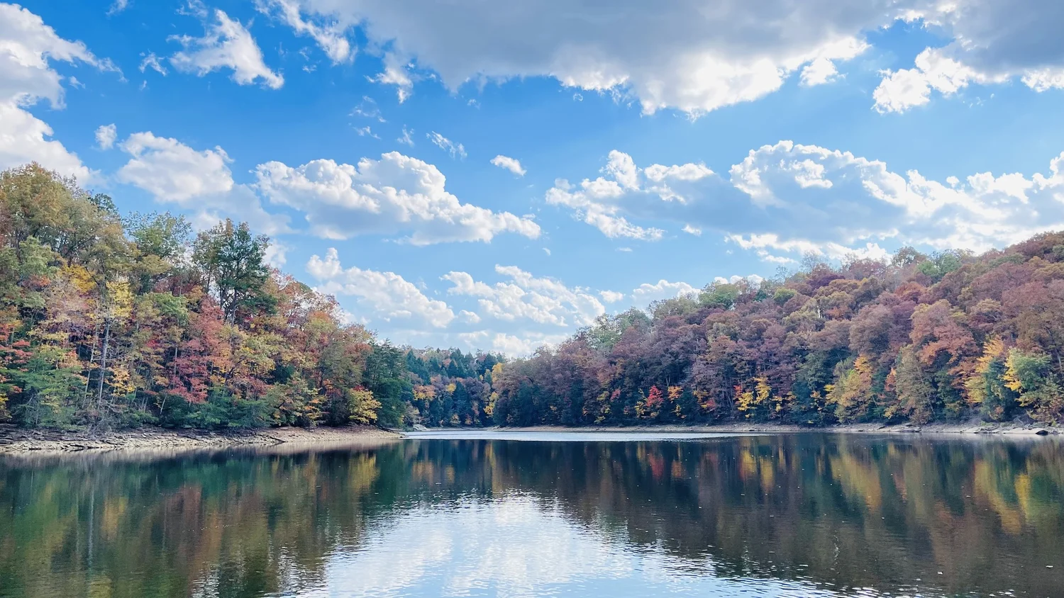 Rachel Stepek reference photograph of autumn trees and bright clouds reflected in calm Laurel River Lake water