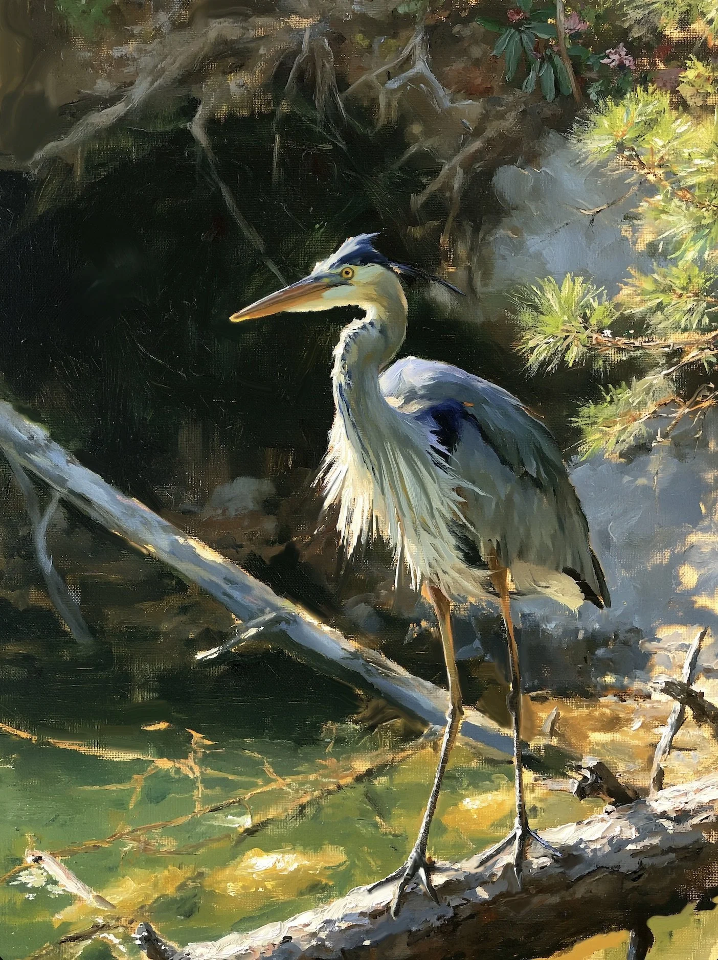 Great Blue Heron on Lake Keowee canvas artwork