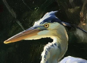 A close look at Great Blue Heron on Lake Keowee.