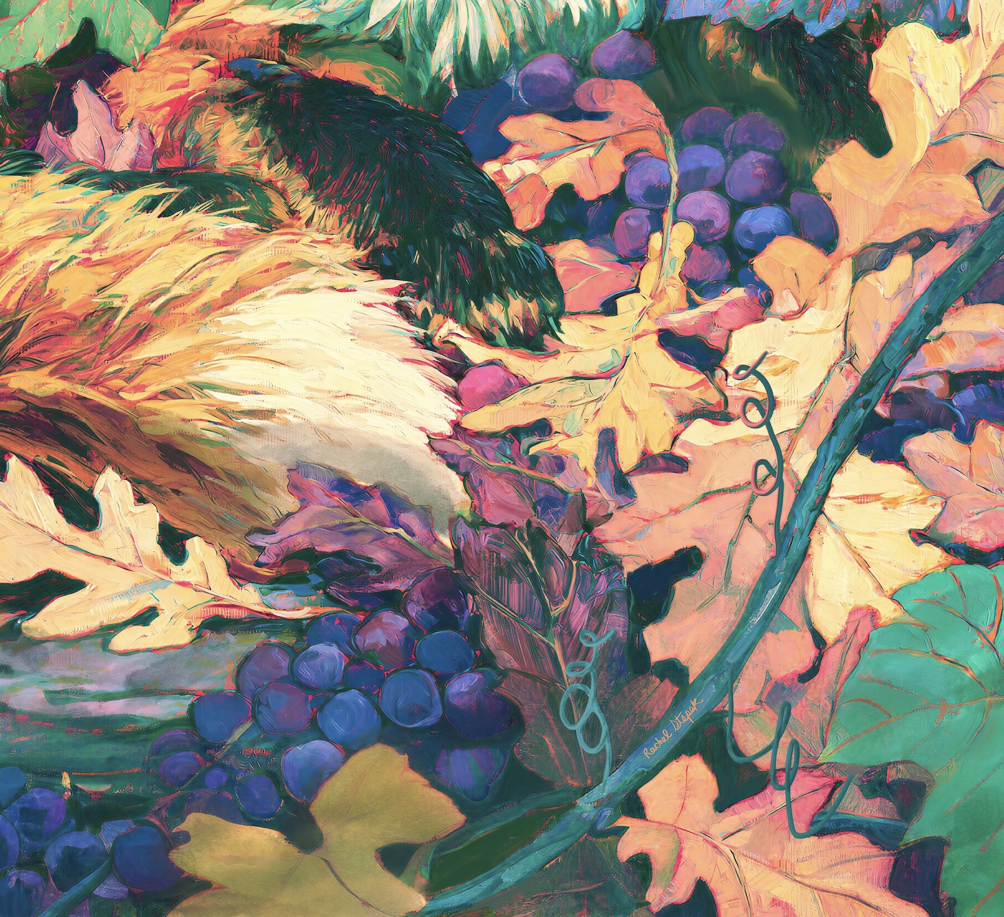 Fox tail grapes and oak leaves detail in Red Fox in the Muscadine Vines