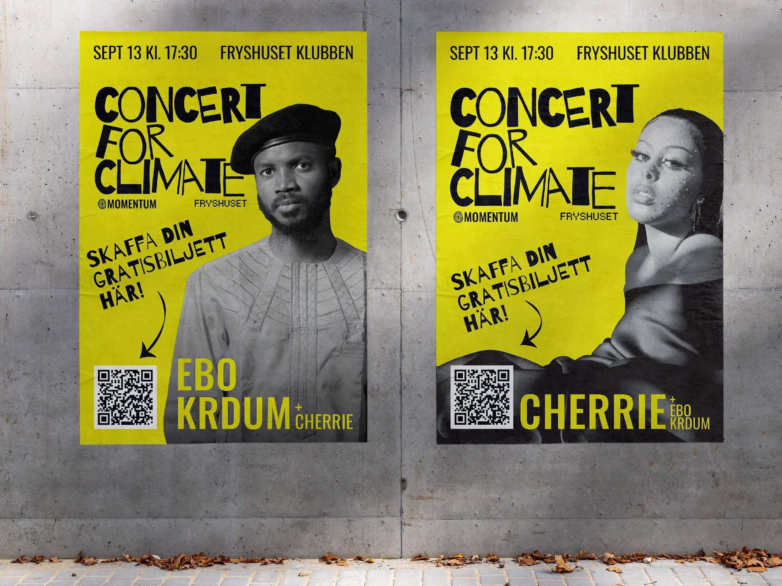Concert for Climate