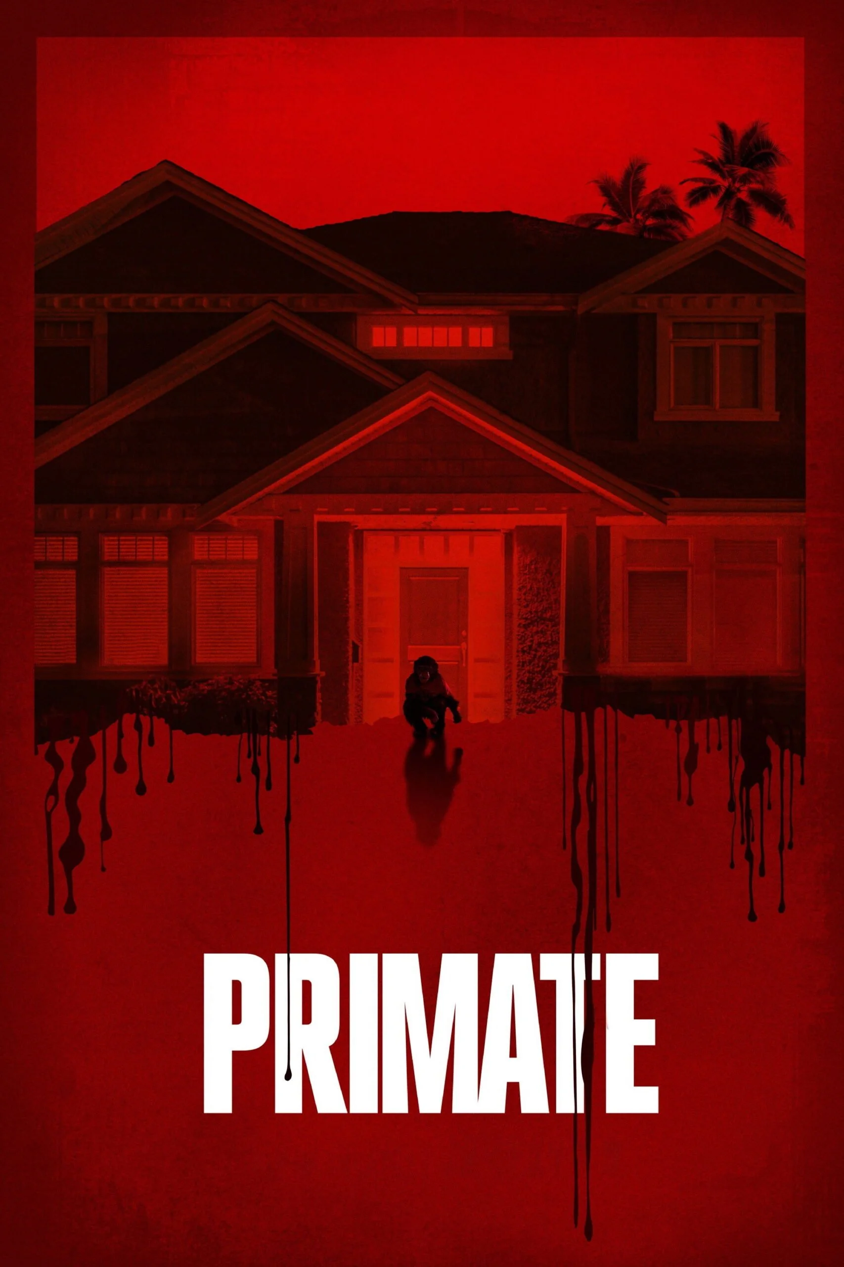 Primate Poster