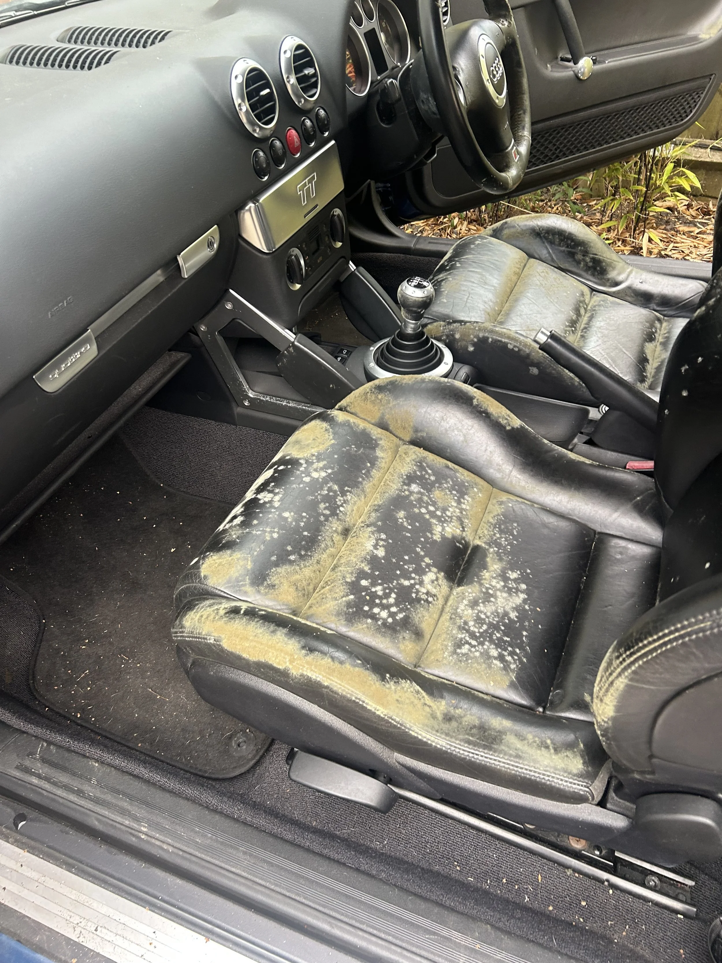 Mould removal car interior sanitise London