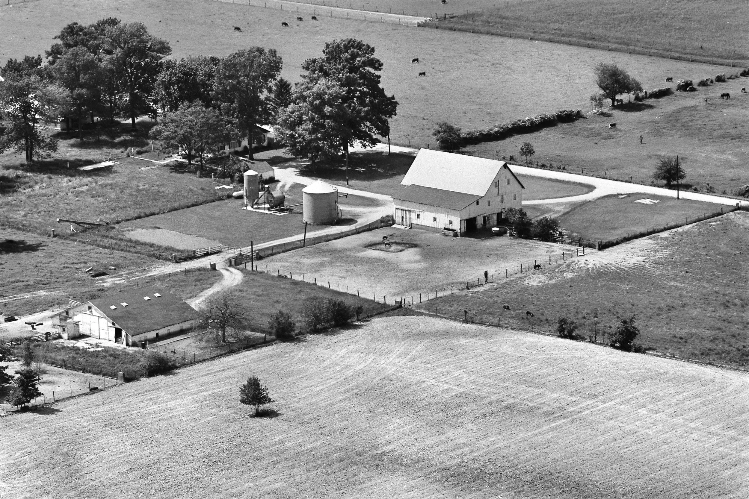 Waymire Farms — Honoring the Past, Building the Future