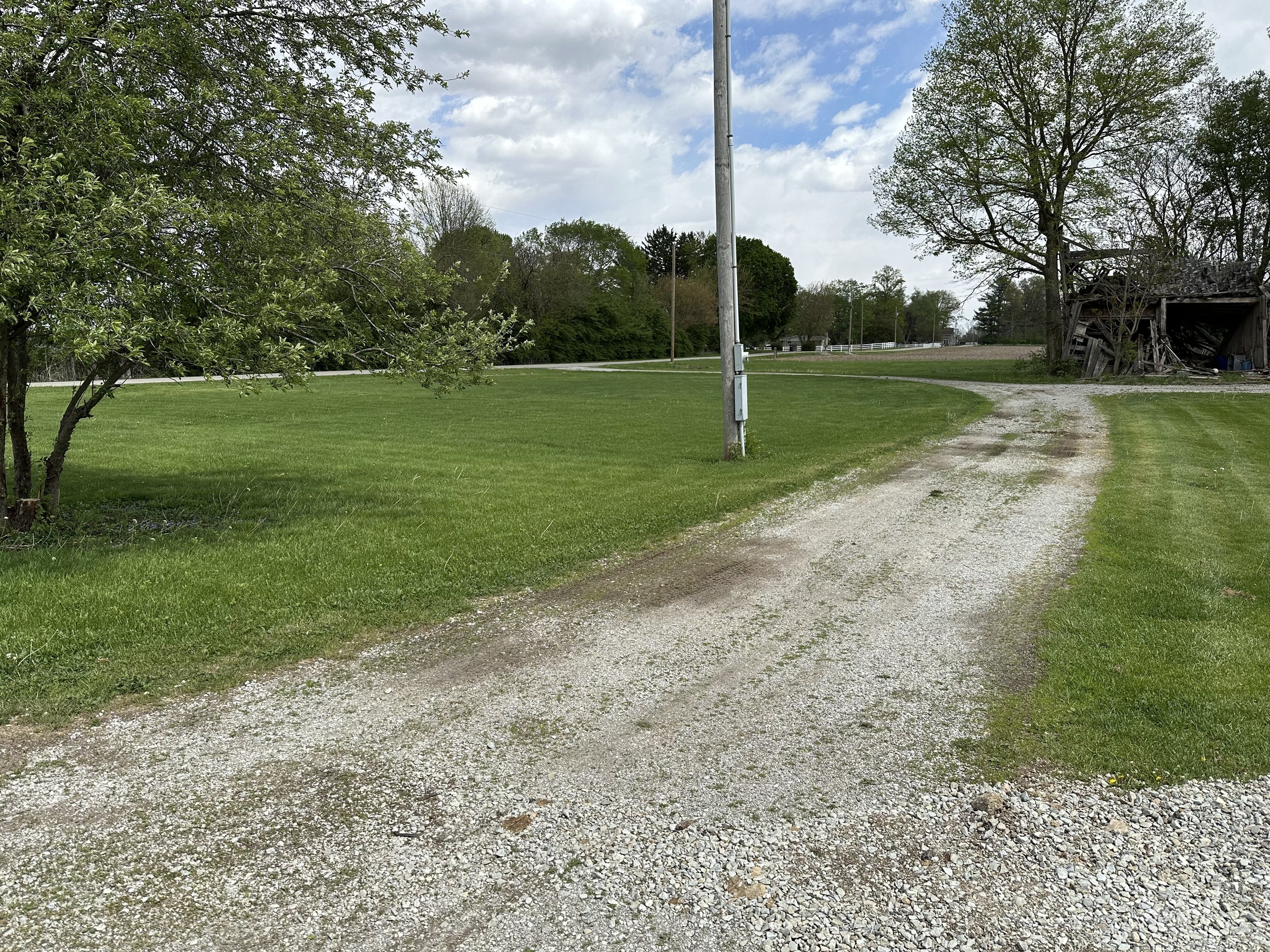 Overgrown rutted driveway before grading