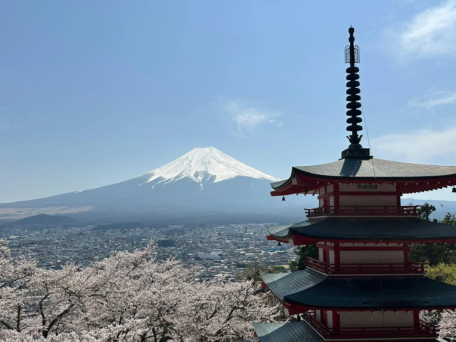 Monte Fuji com cerejeiras em flor na primavera no Japão