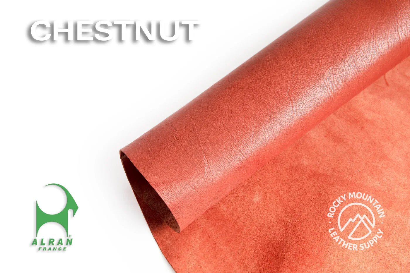 Chestnut